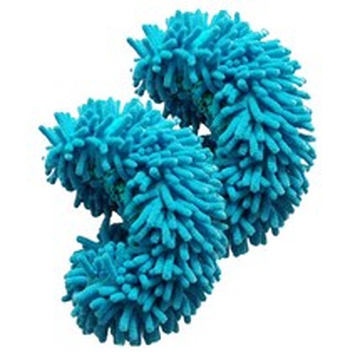 몰투데이 편한 신발커버 청소 걸레 슬리퍼 써본 사용 후기