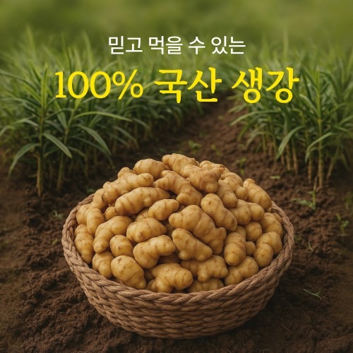 무설탕 생강청으로 건강 챙기기