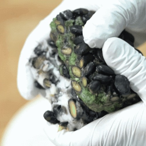 진도 해풍 쑥설기 건강간식 아침대용떡