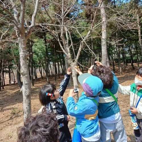 숲파티포레 동탄호수공원 봄 숲체험 추천