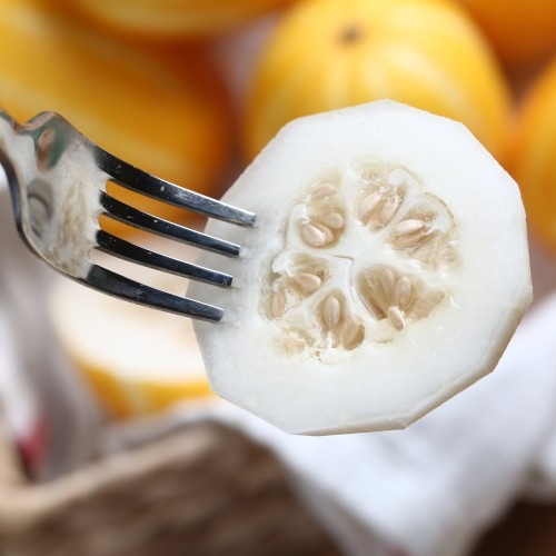 토댁 성주참외 5kg 꼬마참외 프리미엄 못난이, 가족 모두가 좋아하는 건강 간식