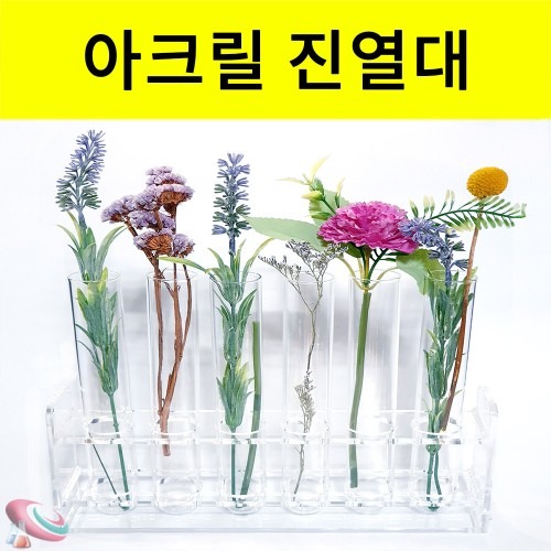 플랜테리어에 적합한 스탠드형 아크릴 진열대 고르기